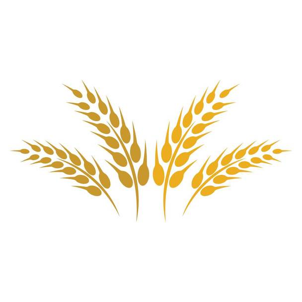 Diseño de ilustración de imágenes de logotipo de trigo - Vector, Imagen
