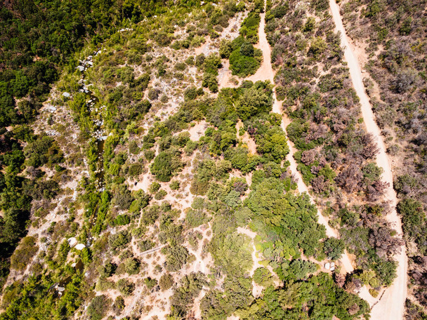 Αεροφωτογραφία του arboretum του rio clarillo εθνικό πάρκο στο santiago de chile σε μια ηλιόλουστη μέρα. - Φωτογραφία, εικόνα