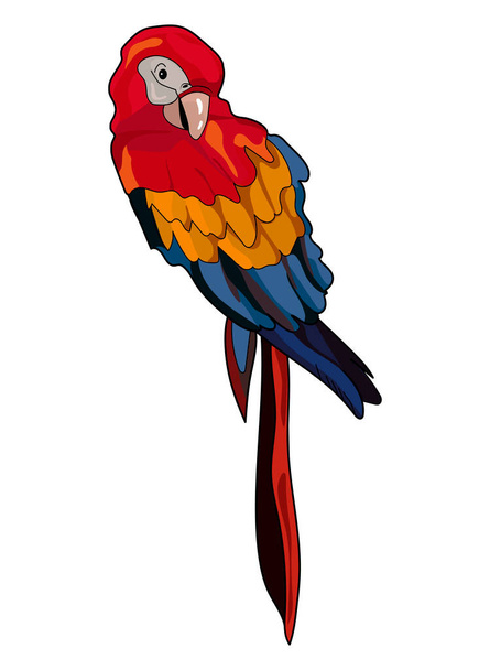 papagaio em um fundo branco. ilustração vetorial. eps - Vetor, Imagem