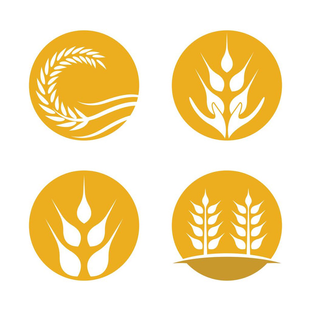 Diseño de ilustración de imágenes de logotipo de trigo - Vector, imagen