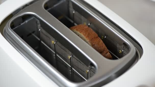 Kézzel két szelet kenyeret tenni a kenyérpirítóba. - Felvétel, videó
