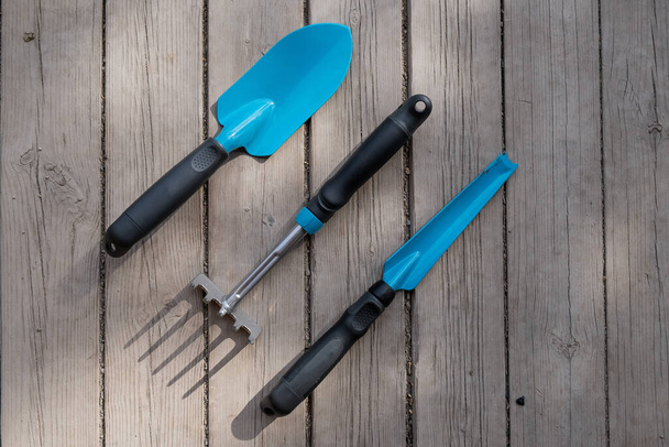 Small blue spatula, garden trowel and rake on the wooden floor. Gardeners tools - Foto, imagen