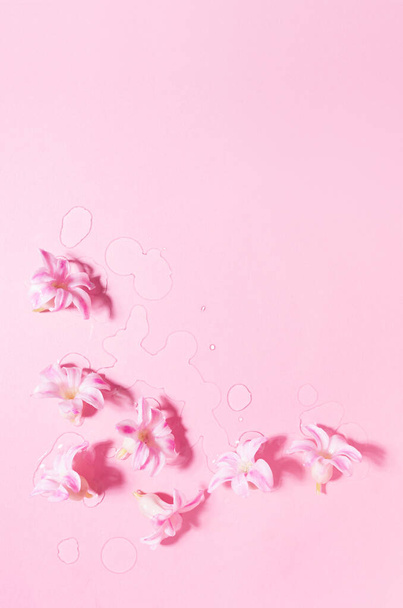 Fresh pink hyacinth flowers in water drops as border, copy space, flat lay, vertical. - Zdjęcie, obraz
