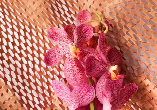 Pink orchids on brown paper texture. - Photo, Image