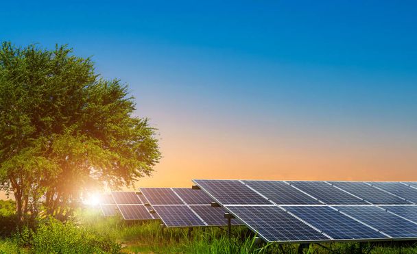 Photovoltaic modules solar power plant in Tree green leaves on with a meadow at landscape views on dramatic sunset sky background,clean Alternative power energy concept. - Foto, Imagen