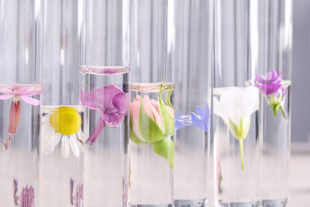 Test tubes with different flowers, closeup. Essential oil extraction - Foto, Imagen