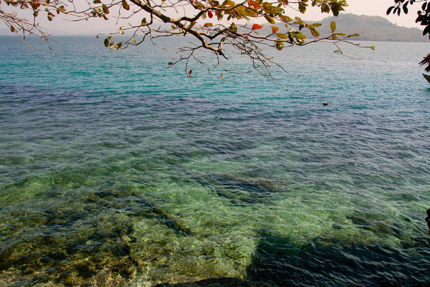 Scenic view of clear blue seascape framed by tree branches in Koh Sdach, Cambodia - Photo, Image