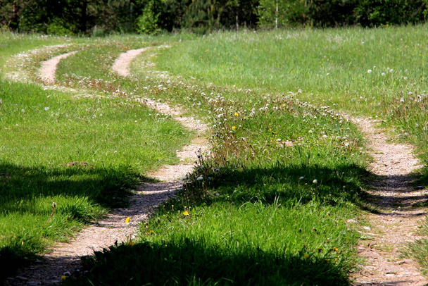 Country Road comme lettre S. S courbe en forme de route de campagne. Heure d "été  - Photo, image
