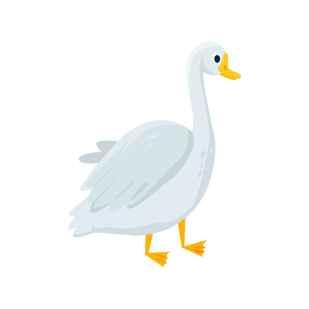 Гусыня плоская. Цветной векторный элемент из коллекции птиц. Иконка Creative Goose для веб-дизайна, соблазна и инфографики. - Вектор,изображение