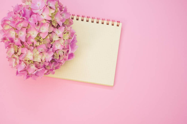 A top view of a bouquet of hydrangeas with a blank notepad isolated on a pink background with space for text - 写真・画像