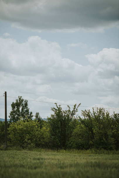 A vertical shot of a rural meadow on a cloudy day - Fotó, kép