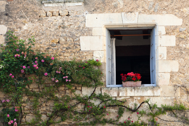 Fenêtre avec fleurs de géranium et roses
 - Photo, image
