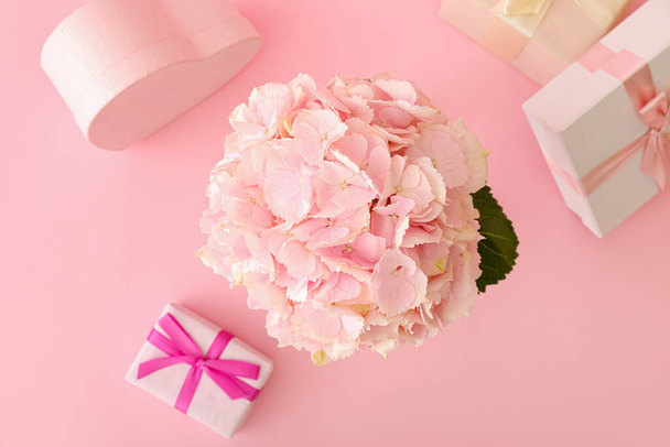Beautiful hydrangea flowers and gift boxes on color background - Photo, Image