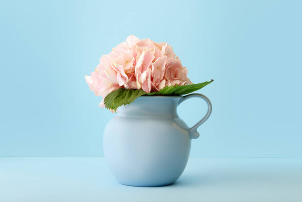 Vase mit schönen Hortensienblüten auf farbigem Hintergrund - Foto, Bild