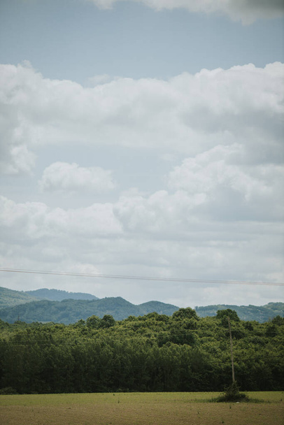 A vertical shot of an agricultural field surrounded by trees on a cloudy day - Fotó, kép