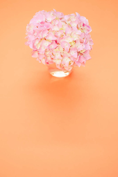 A vertical shot of a bouquet of pink hydrangeas in a vase on an orange surface with space for text - Fotó, kép