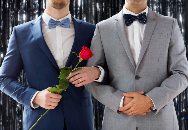 close up of male gay couple with wedding rings on - Photo, Image
