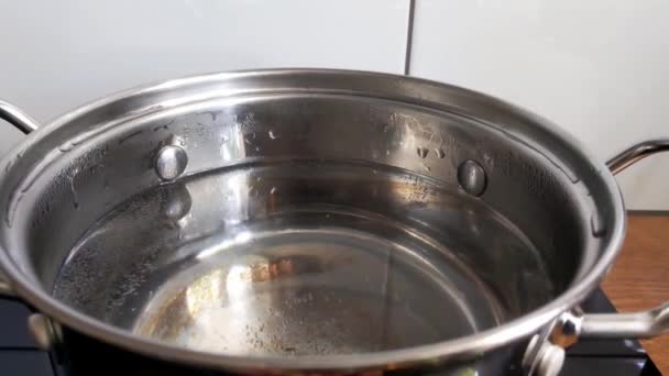 Существует кастрюля на плите и вода кипит в нем для приготовления пищи - Кадры, видео