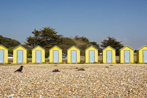 イングランドのウェストサセックス州リトルハンプトンの海辺にあるカラフルな黄色と青のビーチ小屋。カラスを帯状に. - 写真・画像