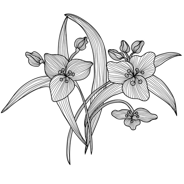 decorative lily flowers - Vecteur, image
