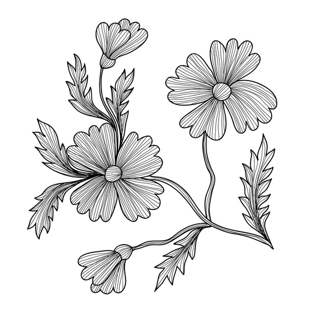 decorative cornflowers - Vector, afbeelding