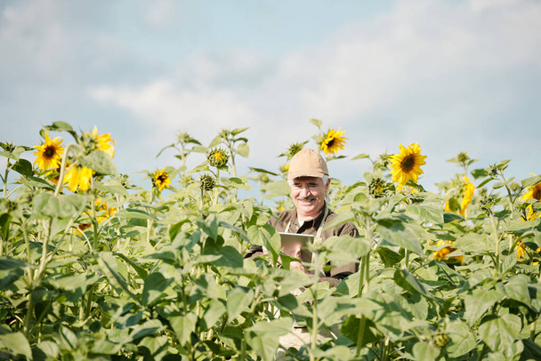 Alegre granjero adulto mayor en ropa de trabajo de pie en el campo de girasol delante de la cámara y el uso de touchpad durante el trabajo en el día soleado - Foto, imagen