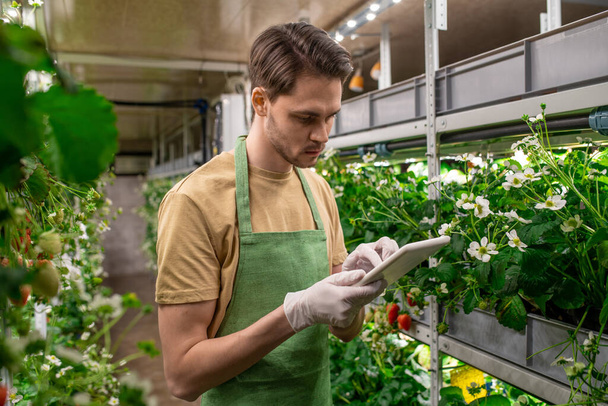 A young man with digital tablet working in a greenhouse - Photo, Image