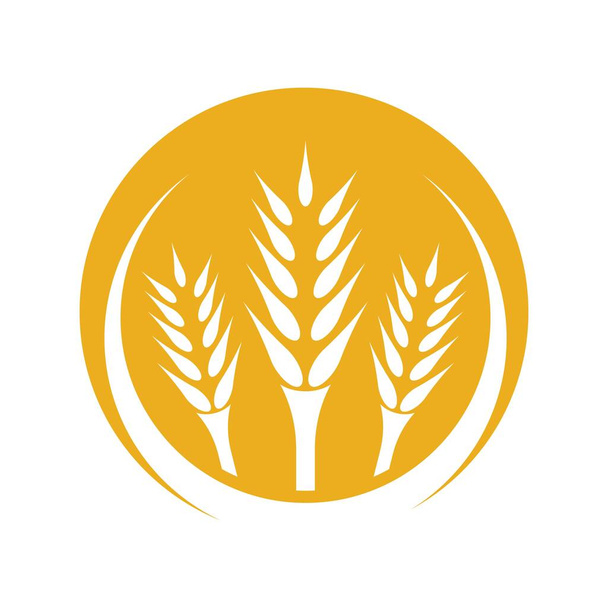 Design de ilustração de imagens de logotipo de trigo - Vetor, Imagem