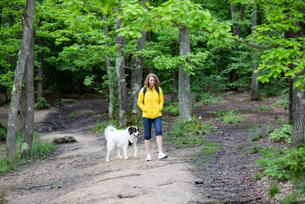 mujer caminando con su perro en el bosque verde - Foto, imagen