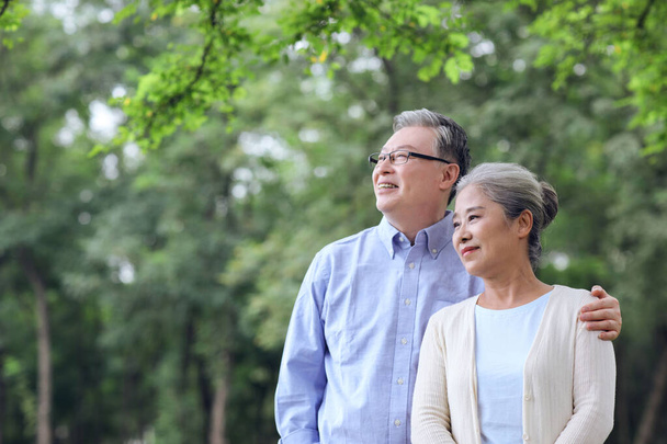 Happy old couple looking at the scenery in the park - Photo, Image