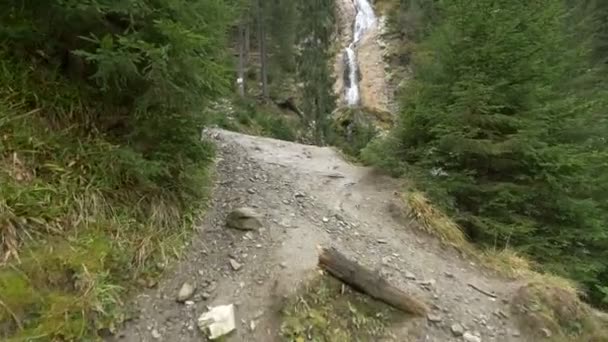 Sentiero vicino a una cascata - Filmati, video