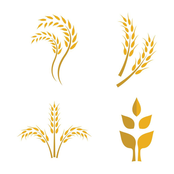Buğday logosu resim çizimi tasarımı - Vektör, Görsel