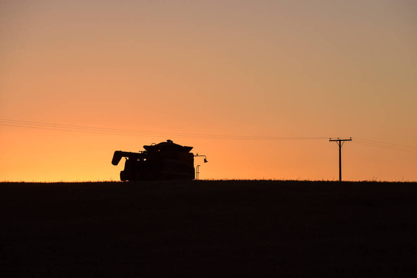 Harvester machine, harvesting in the Argentine countryside, Buenos Aires province, Argentina. - Photo, Image