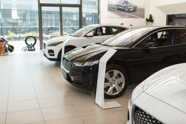 Elegant luxury cars for sale at dealership salon - Photo, Image