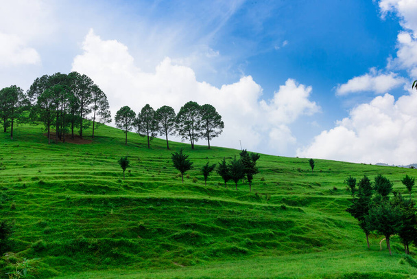 красивый пейзаж с зелеными травянистыми горами и облачным небом  - Фото, изображение
