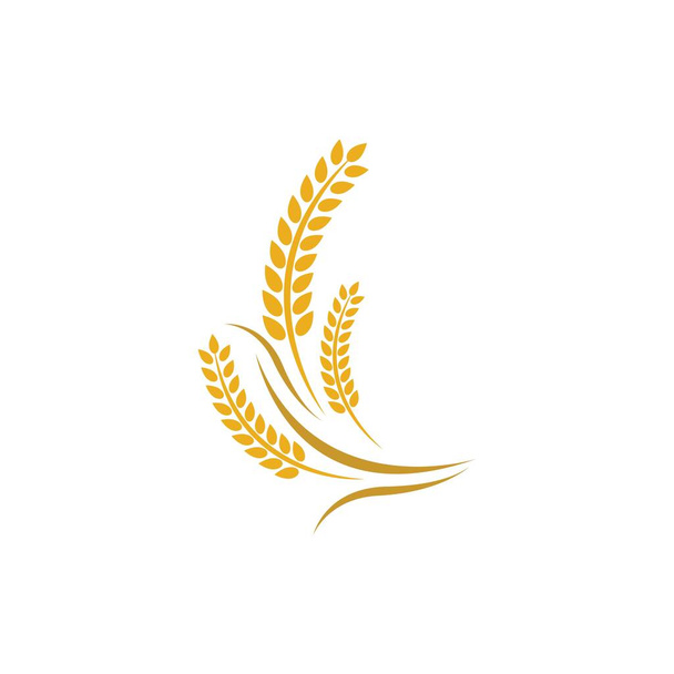 Дизайн векторного логотипа сельскохозяйственной пшеницы - Вектор,изображение