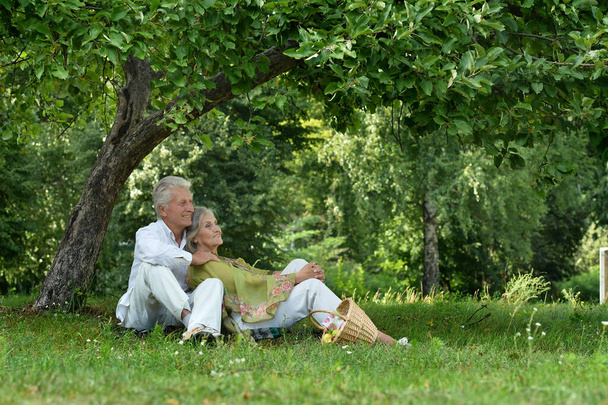 Senior couple sitting on the grass in the park  - Фото, изображение