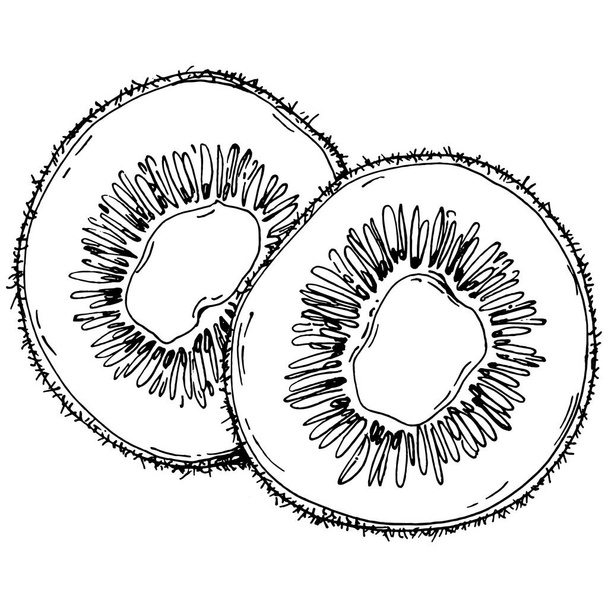 キウイスケッチ柑橘類の果物の装飾。手描きキウイ植物イラスト。白を基調とした線画で白黒.  - ベクター画像