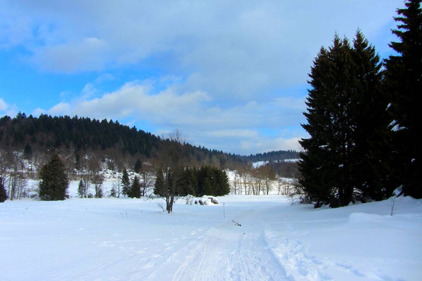 The Retord plateau is a plateau of the Jura massif, in France - Foto, afbeelding