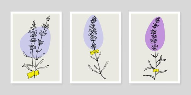 Levendula virág fali művészet növény készlet. Lombozat a természet vonal művészet rajz absztrakt alakú. Modern Absztrakt Plant Art design nyomtatásra, borító, tapéta, illusztráció dekorációs fal művészet. - Vektor, kép