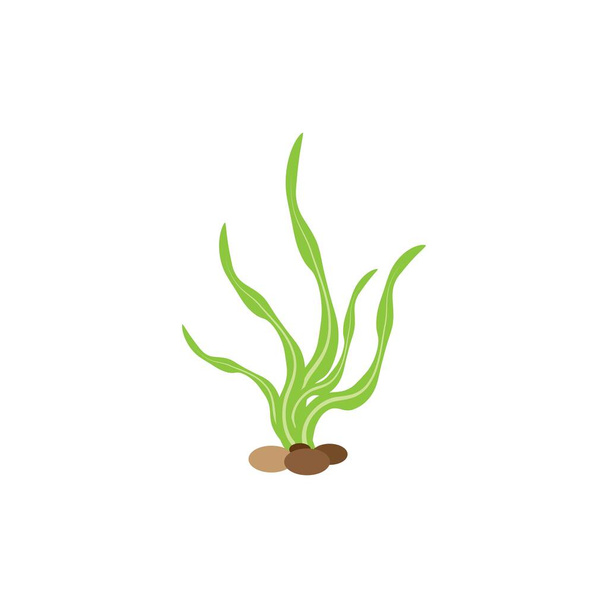 Seaweed logo template vector icon illustration design - Vetor, Imagem