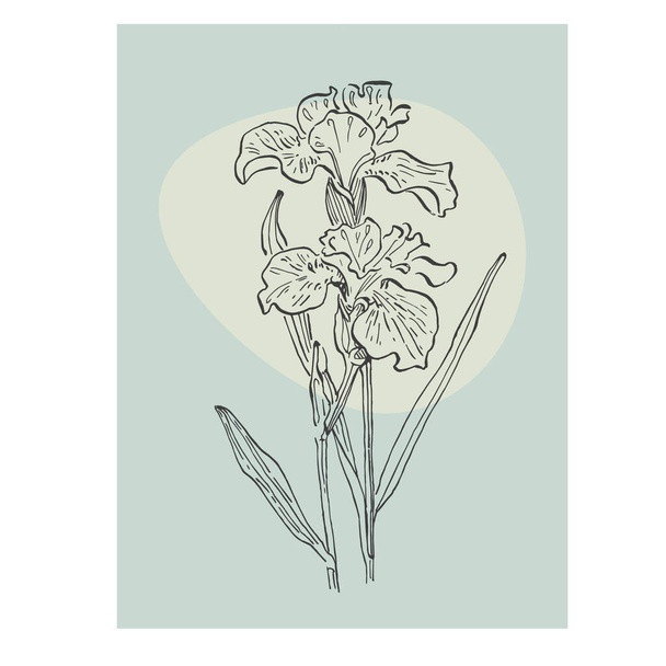Irises poster hand drawing illustration. Backgrounds for social media platform, stories, banner with abstract shapes, leaves. Visual design for your social networks.  - Vector, Image