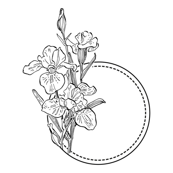 Hand drawn irises floral logo, frame, border, promo element. Brand emblem template. Minimalistic monogram. Rustic elegant trademark or logotypes background. - Vector, Image