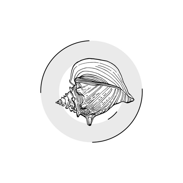 手描きの貝殻のロゴ、フレーム、国境、プロモーション要素。ブランドエンブレムテンプレート。最小限のモノグラム。ロシアのエレガントな商標やロゴタイプの背景.  - ベクター画像