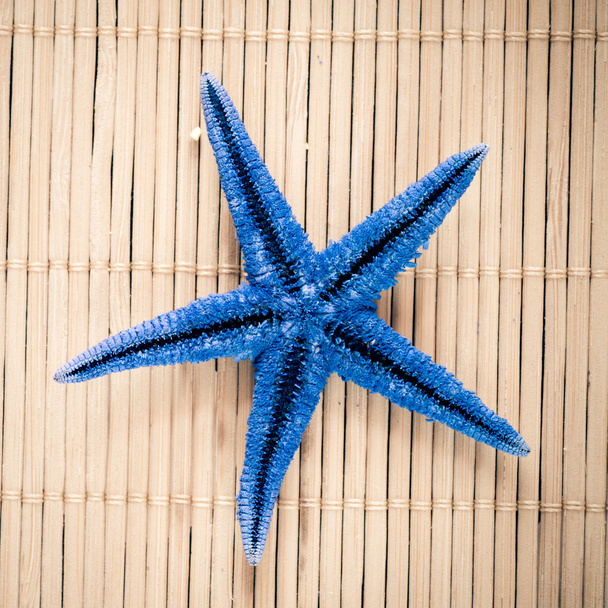denizyıldızı - Fotoğraf, Görsel