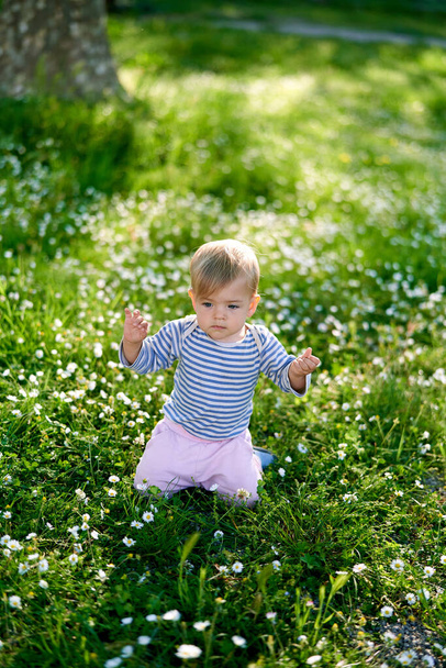 Kid sits on his knees raising his hands up on a green lawn with white daisies - Photo, Image