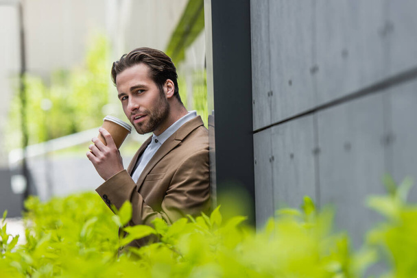 businessman in formal wear holding paper cup near blurred plants outside - Fotó, kép