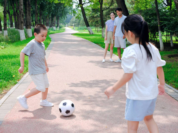 Happy family of four playing football in the park - Zdjęcie, obraz