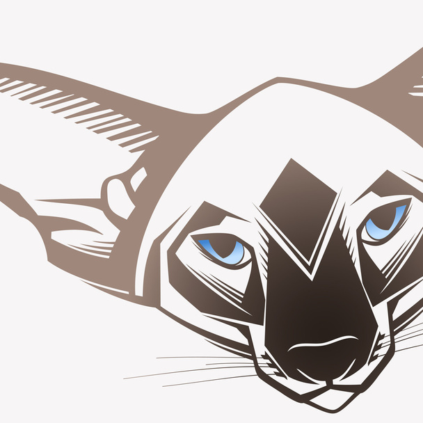 oryantal kedi, yakın çekim portre - Vektör, Görsel
