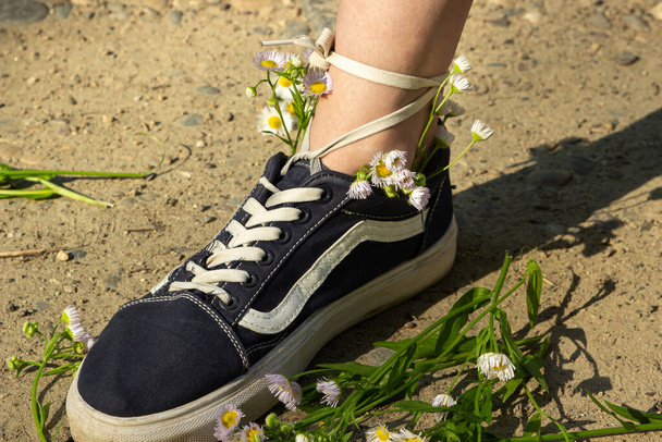 Ромашки в кроссовках на женских ногах. Прогулка на природе летом - Фото, изображение